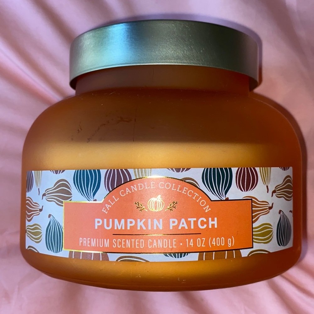 “PUMPKIN PATCH” Large premium scented 2-wick fall collection candle